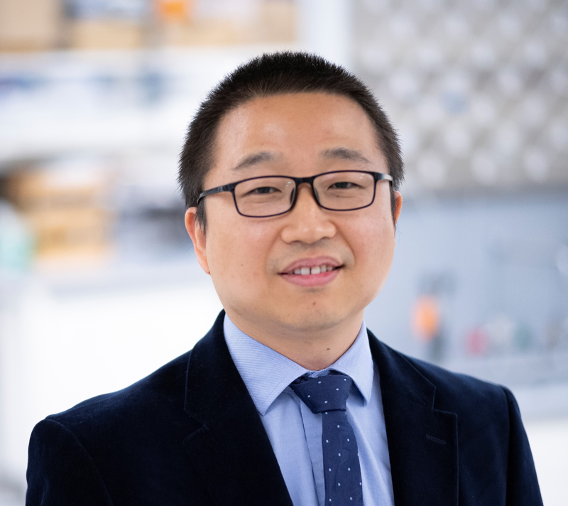 Photo of Professor Wenzhuo Wu